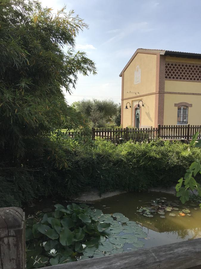 Agriturismo Corte Salandini Hotell Ponti sul Mincio Eksteriør bilde