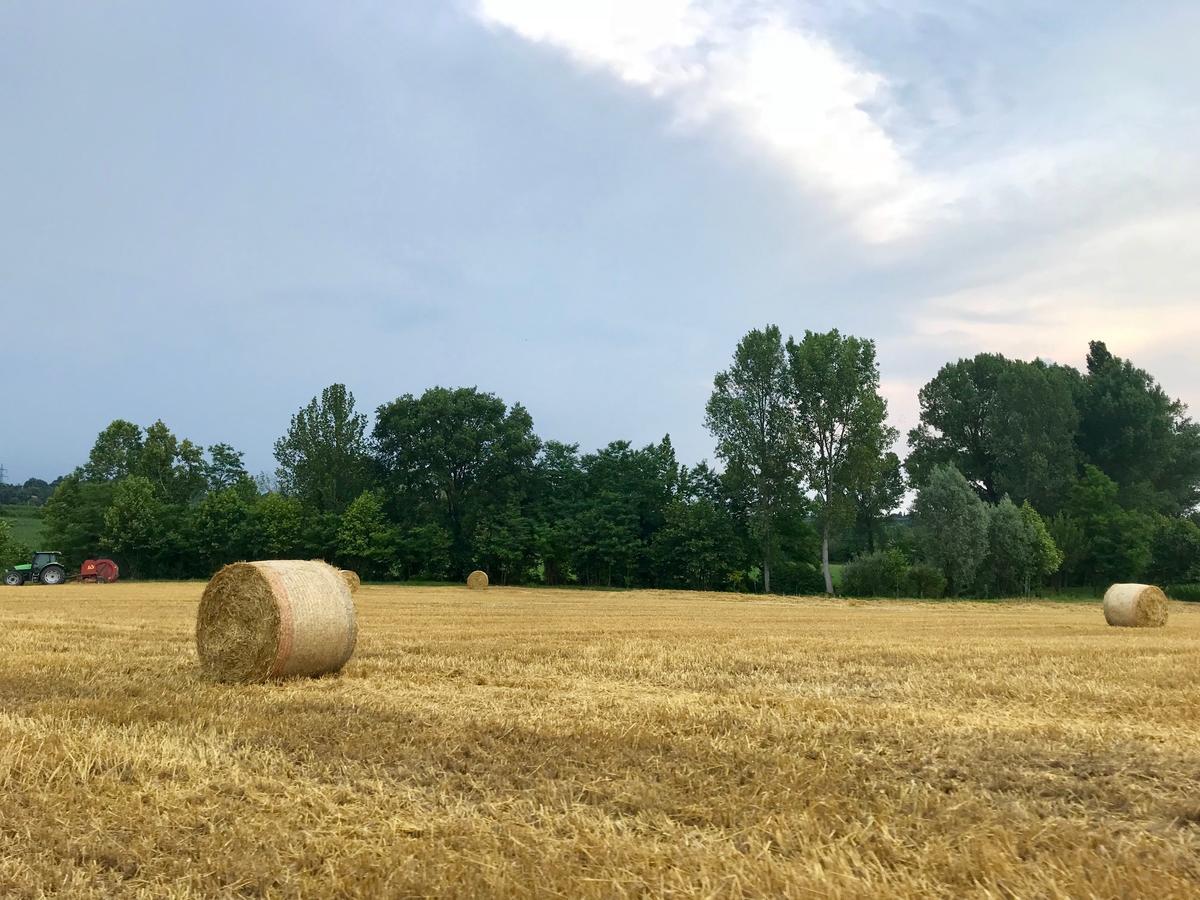 Agriturismo Corte Salandini Hotell Ponti sul Mincio Eksteriør bilde